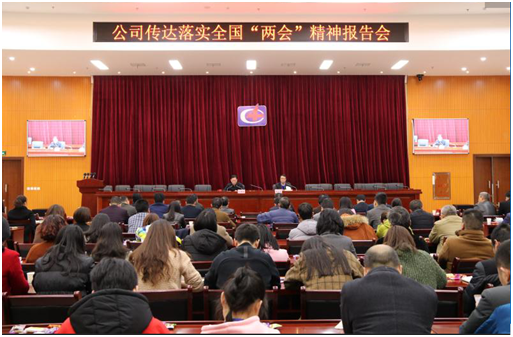 公司認真?zhèn)鬟_學(xué)習(xí)十三屆全國人大一次會議精神