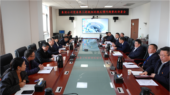 公司黨委召開巡視反饋問(wèn)題整改部署會(huì)
